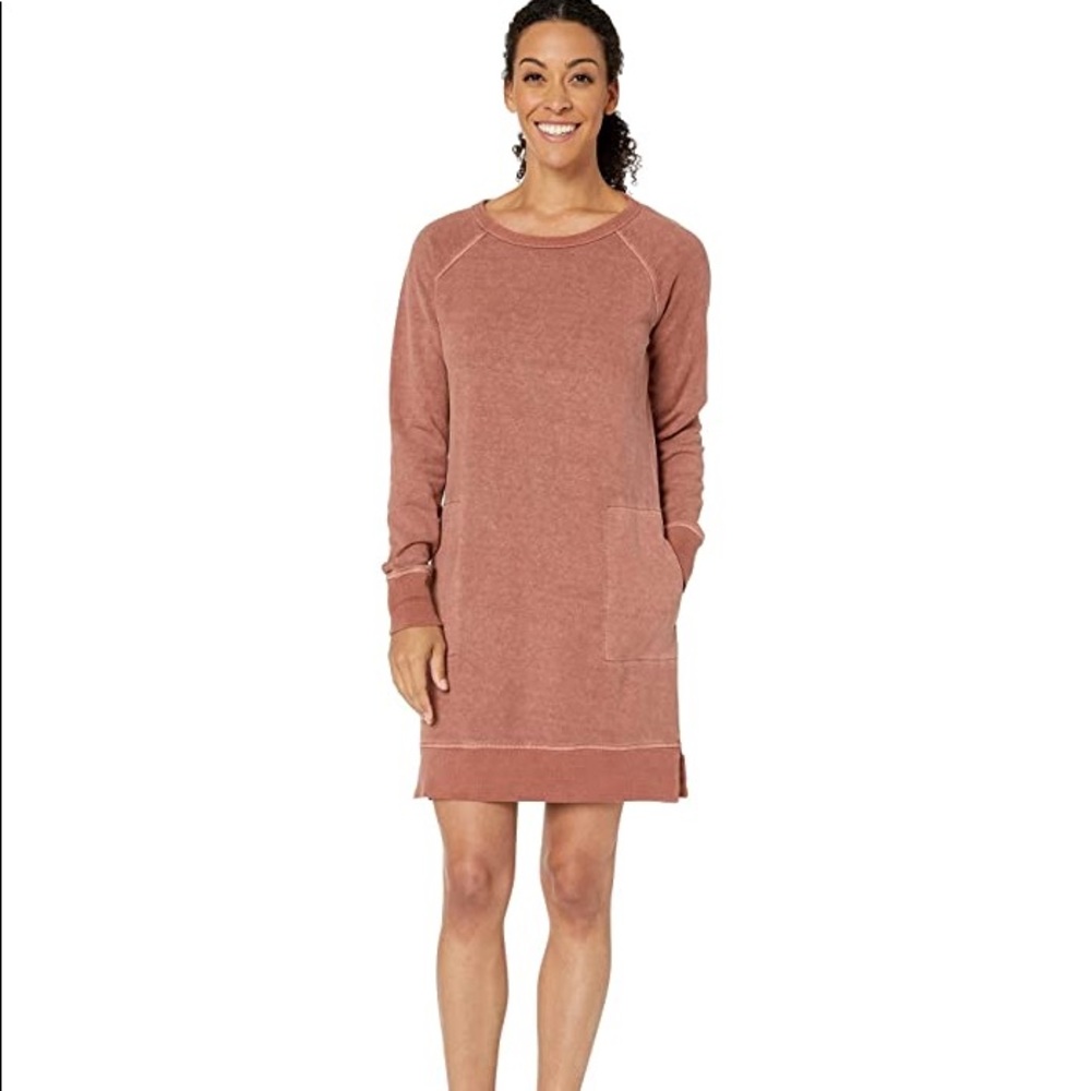 Toad and Co Epique LS dress